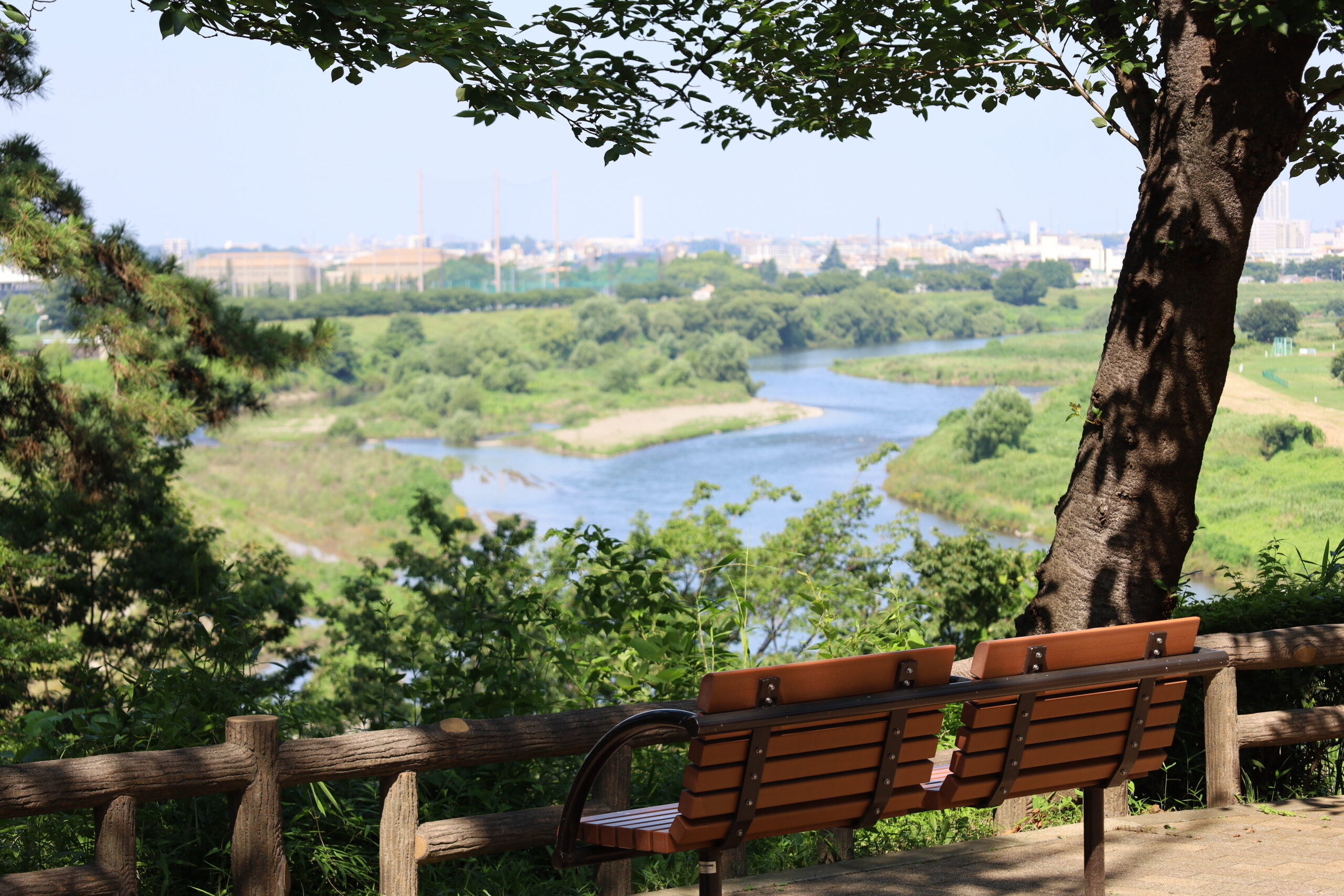 公園　多摩川台公園（公園）まで2000m