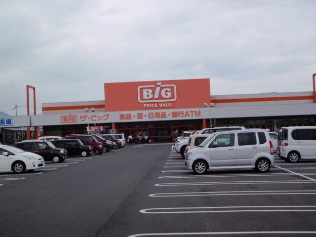 スーパー　ザ・ビック多度津店（スーパー）まで1100m
