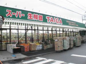 スーパー　スーパー生鮮館TAIGA川崎中原店（スーパー）まで355m