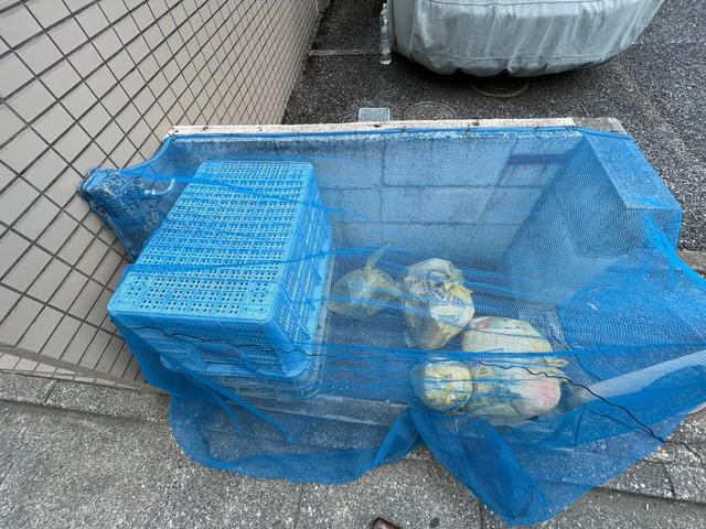 その他共有部分　共用設備　敷地内ごみ置場