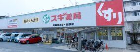 ドラックストア　スギ薬局尼崎西長洲店（ドラッグストア）まで20m