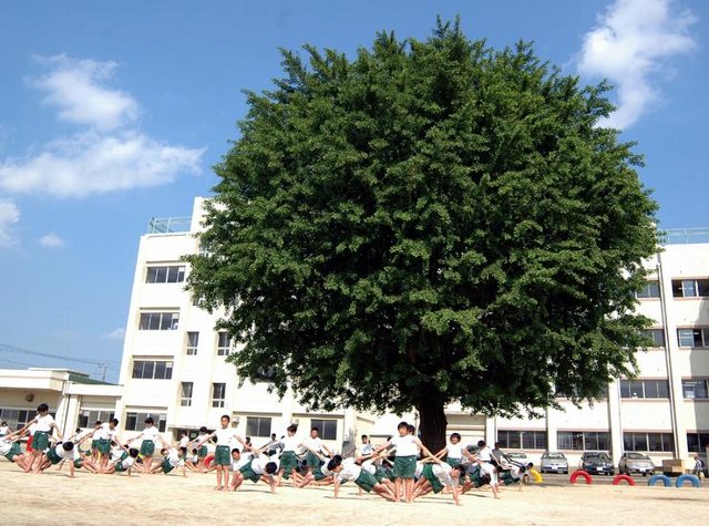 小学校　船橋市立塚田小学校（小学校）まで874m