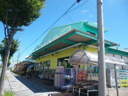 ドラックストア　杏林堂ドラッグストア　新大平台店（ドラッグストア）まで298m