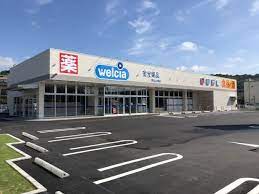 ドラックストア　金光薬品岡山山崎店（ドラッグストア）まで724m