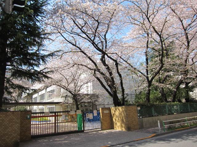 小学校　金沢小学校（小学校）まで411m