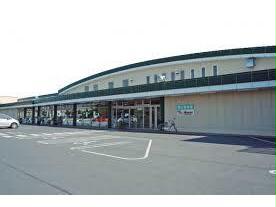 スーパー　生鮮食品おだ手城店（スーパー）まで516m