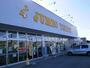 ホームセンター　ジャンボイエロー 亀田店（ホームセンター）まで1300m