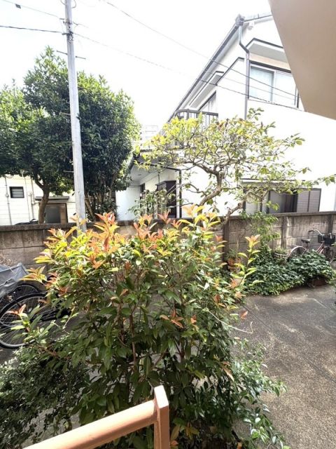 眺望
