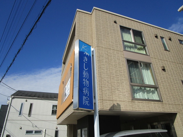 病院　きし動物病院（病院）まで600m