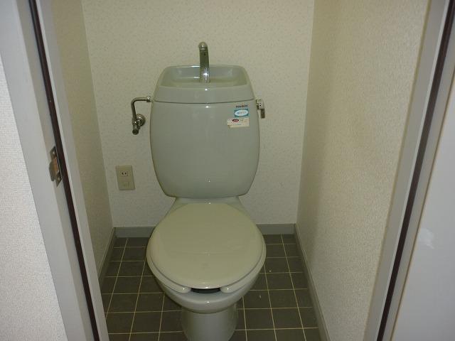 サンビレッジファンタジア Aのトイレ写真