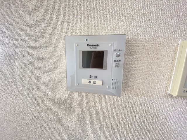 ルビーン・レオーネ Bのその他写真