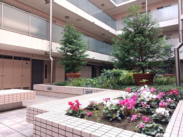 エントランス　２階　パティオ（中庭）