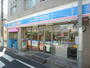 コンビニ　ローソン田園調布南店（コンビニ）まで117m