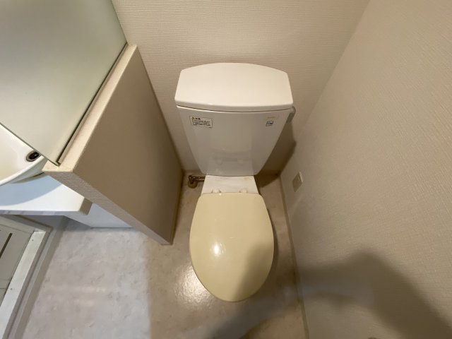 エスリード御堂筋梅田のトイレ写真