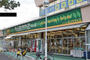 スーパー　食品館あおば　初山店（スーパー）まで442m