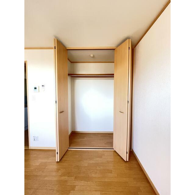 収納　現況優先。同タイプ別室のお写真です。
