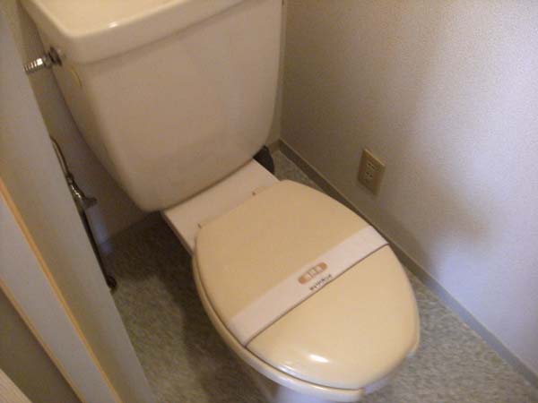 トイレ　トイレも気になるポイント