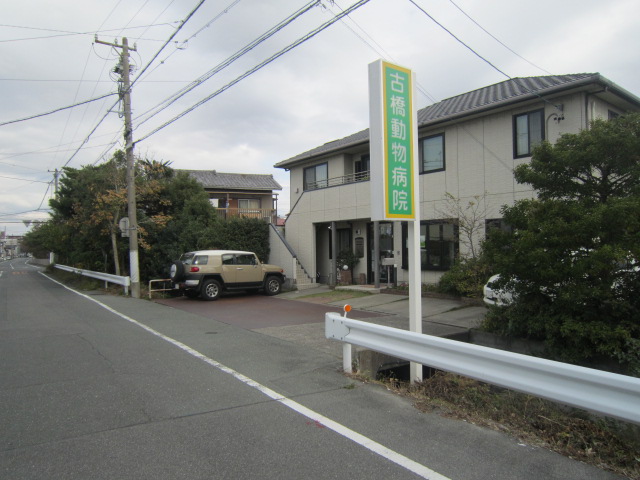 病院　古橋動物病院（病院）まで599m
