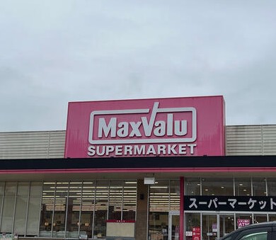 スーパー　Maxvalu南海岸里店（スーパー）まで358m