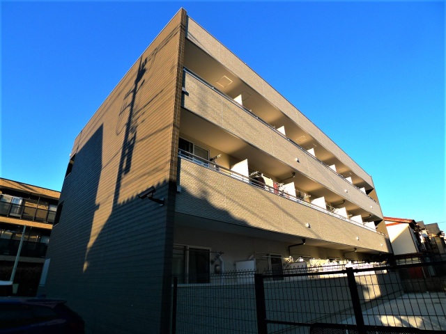 Luogia