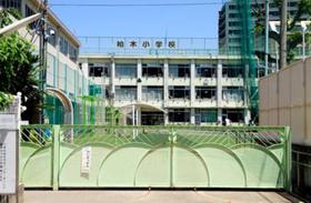 小学校