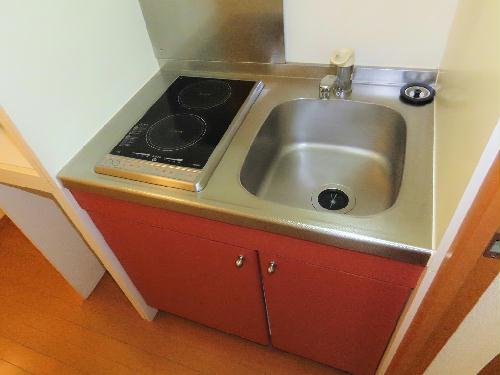 キッチン　2口の電気コンロまたはIHコンロとなります