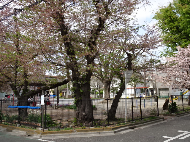 【川上ハイツの公園】