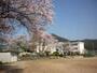 中学校　市川町立鶴居中学校（中学校）まで1911m