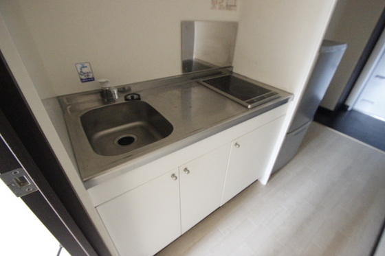 キッチン　※別号室の写真です