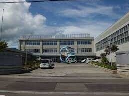 中学校　札幌市立手稲東中学校（中学校）まで659m