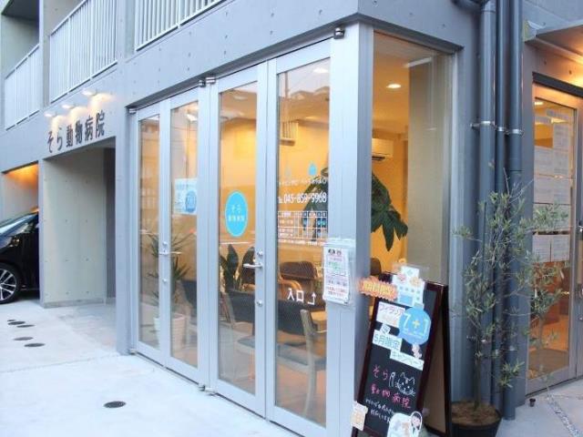 病院　そら動物病院（病院）まで454m