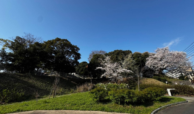 公園　洋光台南公園（公園）まで409m