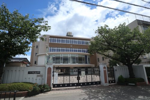 小学校　八尾市立南山本小学校（小学校）まで399m