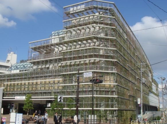 病院　東京急行電鉄（株）東急病院（病院）まで288m