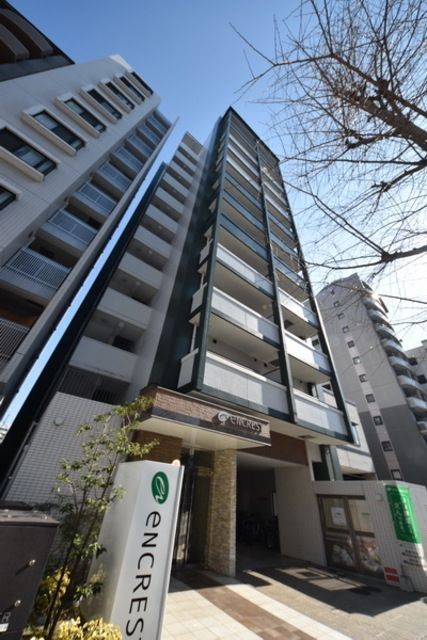 建物外観　シリーズもののマンションです