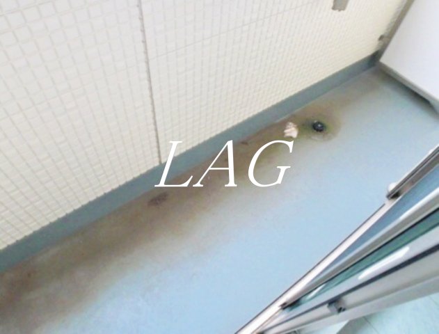 バルコニー　バルコニーです。