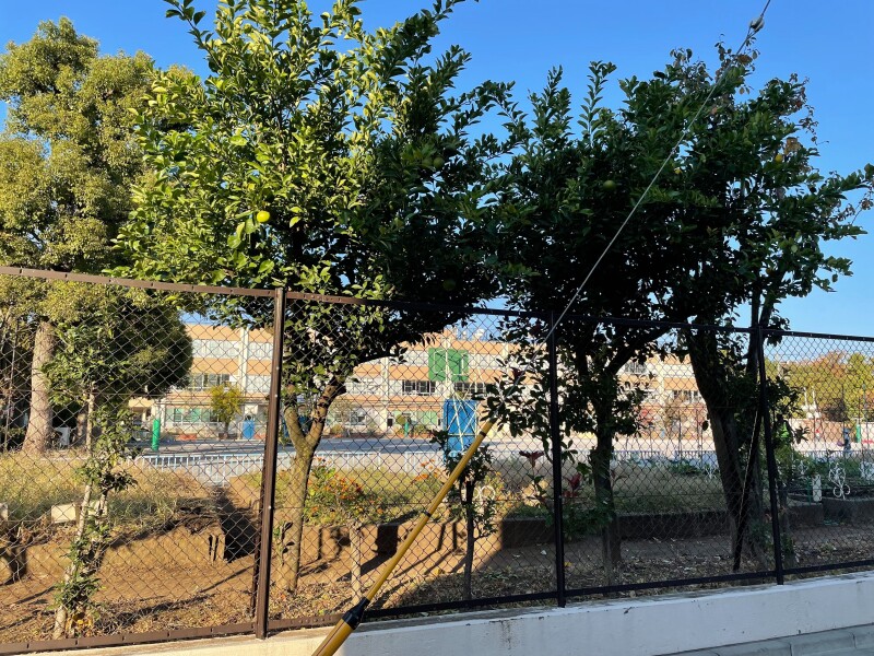 小学校　板橋区立高島第一小学校（小学校）まで425m