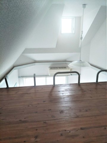 その他　ロフトは広めかな