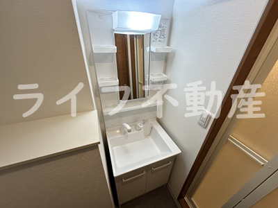 洗面設備　独立洗面化粧台が付いています
