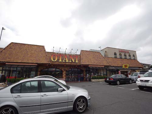 スーパー　スーパーオータニ野沢店（スーパー）まで1292m