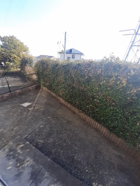 庭