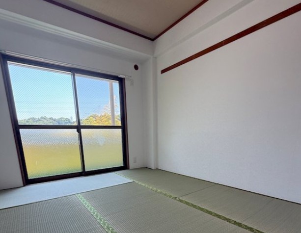 眺望　こんな感じです！
