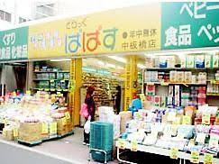 ドラックストア　どらっぐぱぱす 中板橋店（ドラッグストア）まで338m