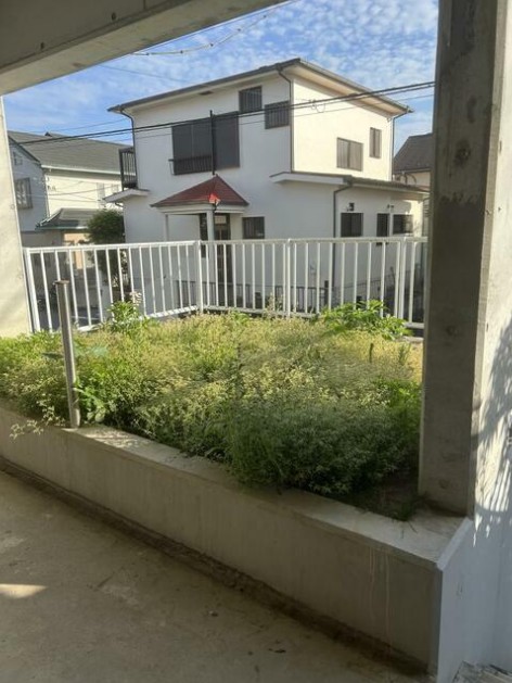 庭