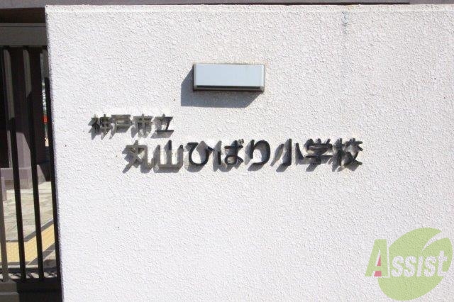 小学校　神戸市立丸山ひばり小学校（小学校）まで1346m