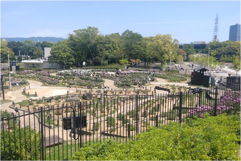 公園　久宝寺緑地（公園）まで1028m