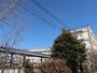 小学校　足立区立青井小学校（小学校）まで732m
