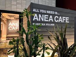 飲食店　anea cafe(アネア カフェ) 門前仲町店（飲食店）まで171m