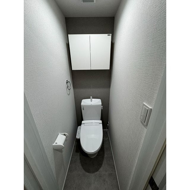 ラフィーネ西谷Cのトイレ写真