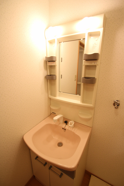 洗面設備　※他のお部屋の参考写真です